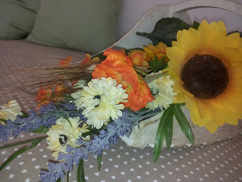 Prázdninový dům Vila Casa Vacanze I Girasoli Pontedassio